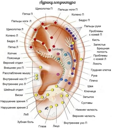 акупунктурните точки върху ухото