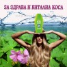 ШАМПОАН ЗДРАВЕЦ ЗА ЗДРАВА КОСА